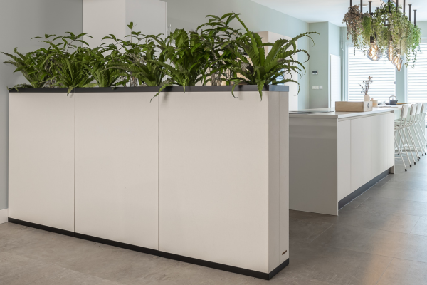 Off white versie van de akoestische SENA Plantenbak met daarin een groene plant.